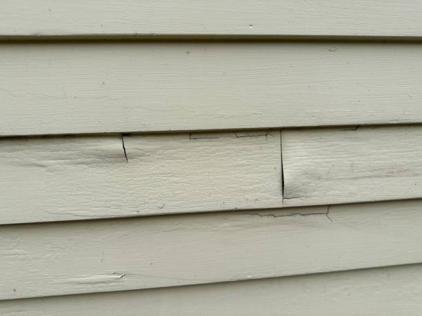 Best Storm Damage Siding Repair  in Fenton, MO